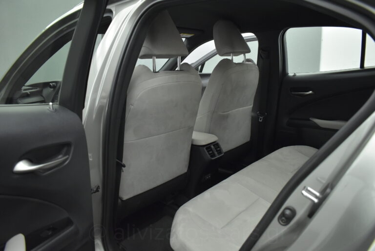 Lexus UX 250h - AWD Dynamic Hybrid e-CVT EMVN 2.0