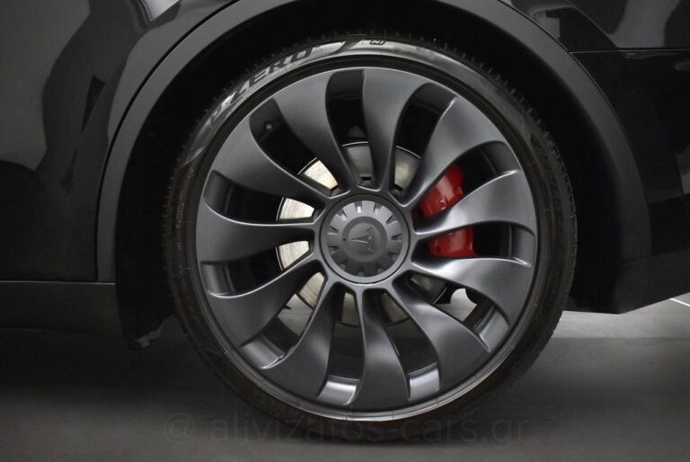 Tesla MODEL Y - Performance 4WD 530HP Dual Motor Panorama