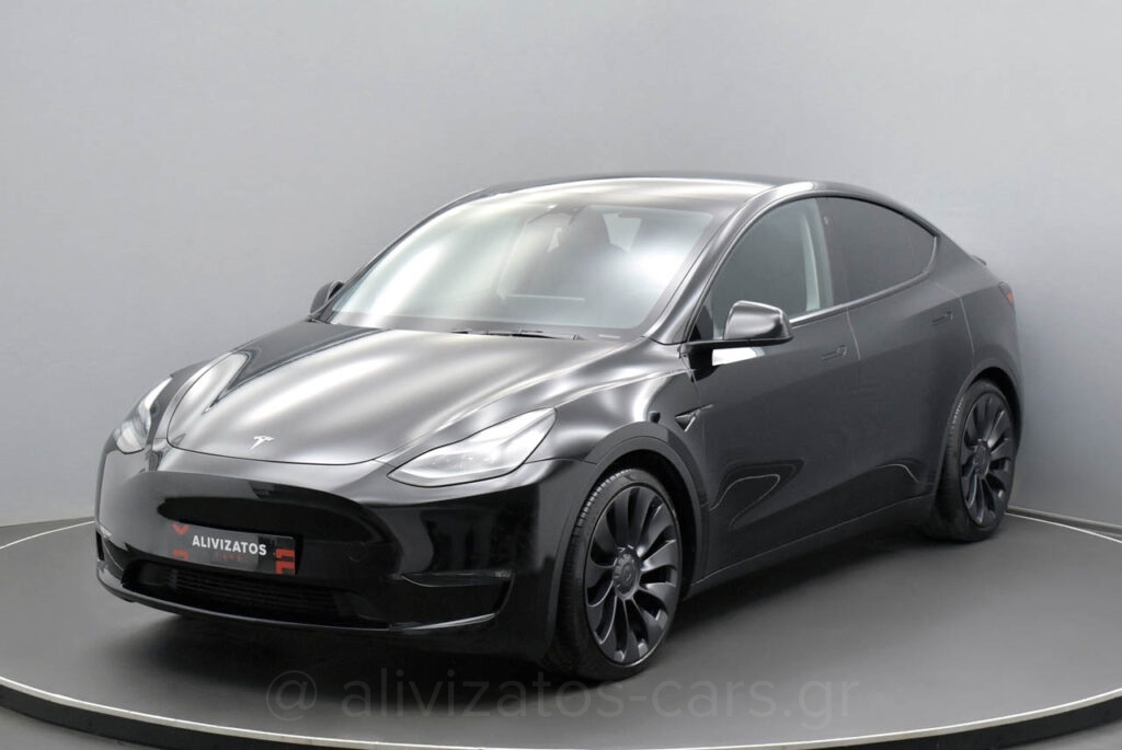 Tesla MODEL Y - Performance 4WD 530HP Dual Motor Panorama