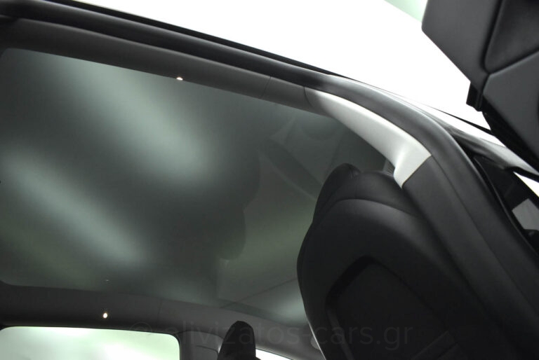 Tesla MODEL Y - Performance 4WD 530HP Dual Motor Panorama