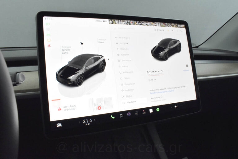 Tesla MODEL Y - Performance 4WD 530HP Dual Motor Panorama