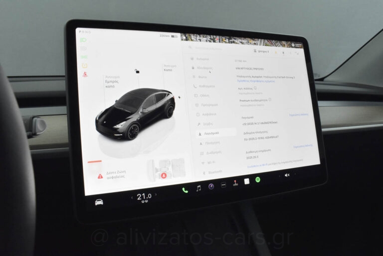 Tesla MODEL Y - Performance 4WD 530HP Dual Motor Panorama