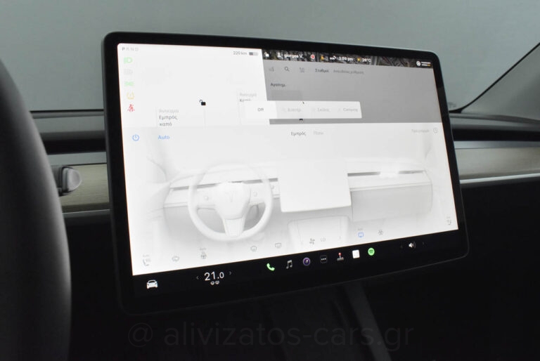 Tesla MODEL Y - Performance 4WD 530HP Dual Motor Panorama