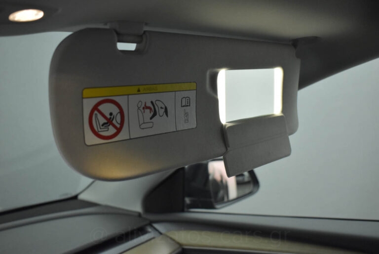 Tesla MODEL Y - Performance 4WD 530HP Dual Motor Panorama