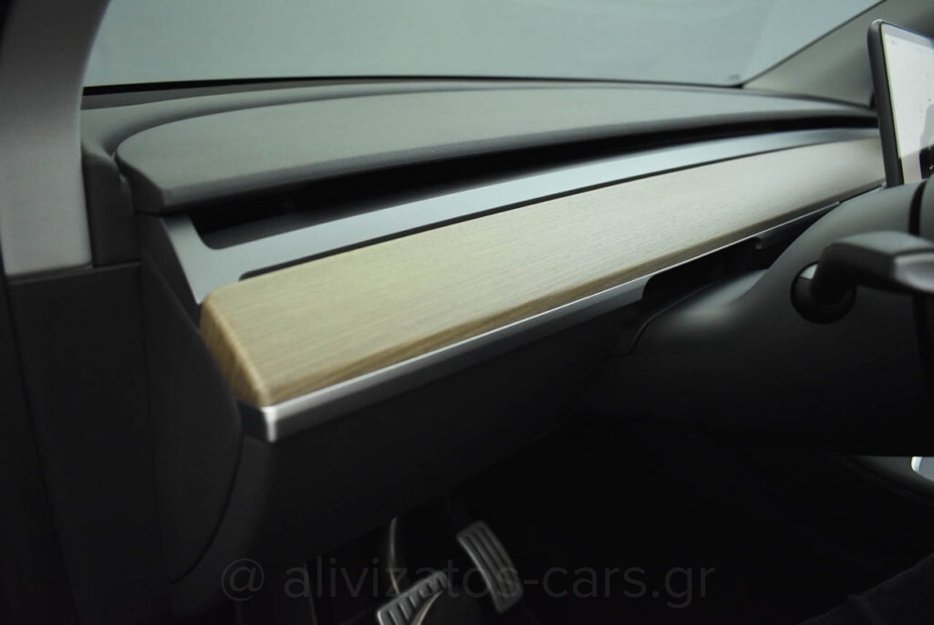 Tesla MODEL Y - Performance 4WD 530HP Dual Motor Panorama