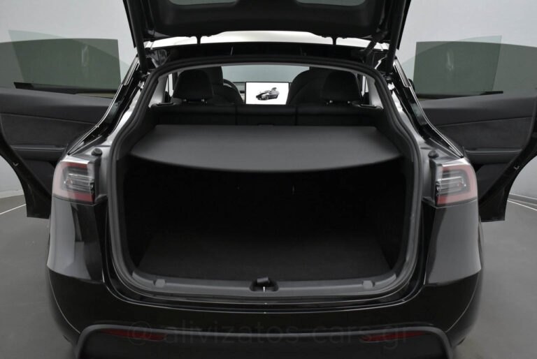 Tesla MODEL Y - Performance 4WD 530HP Dual Motor Panorama