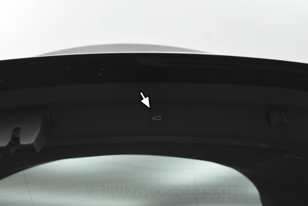 Tesla MODEL Y - Performance 4WD 530HP Dual Motor Panorama