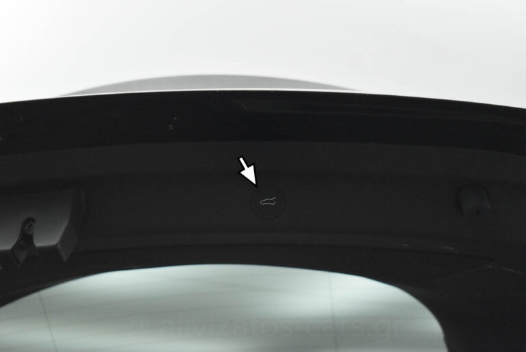 Tesla MODEL Y - Performance 4WD 530HP Dual Motor Panorama