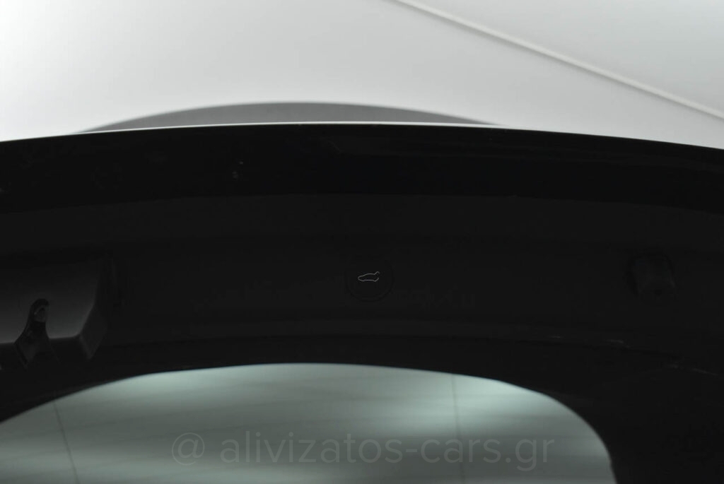 Tesla MODEL Y - Performance 4WD 530HP Dual Motor Panorama