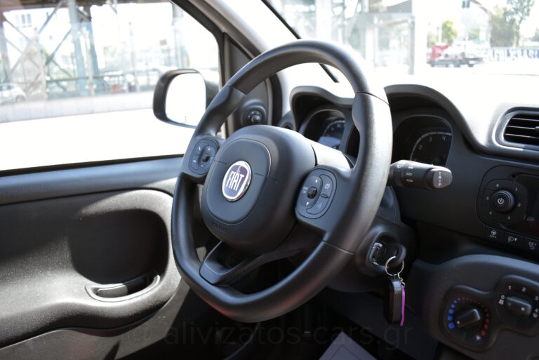 Fiat Panda - Van CNG Natural Power EURO 6d Parktronic