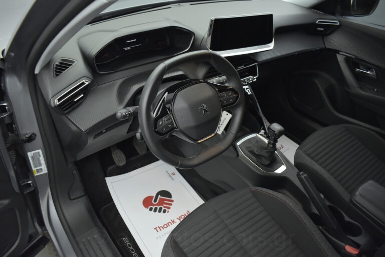 Peugeot 2008 - 1.5 BlueHDi 110hp Active Plus Camera