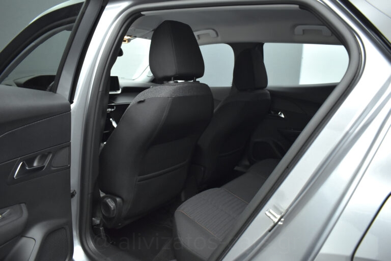 Peugeot 2008 - 1.5 BlueHDi 110hp Active Plus Camera