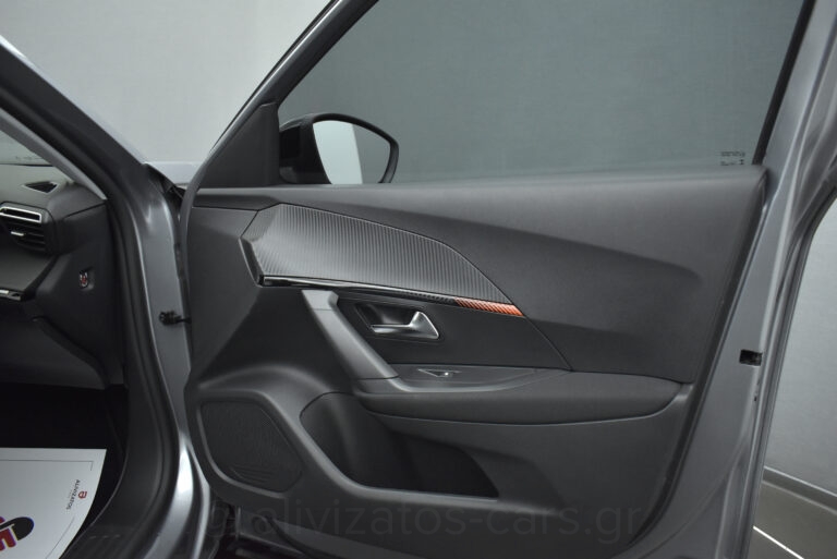 Peugeot 2008 - 1.5 BlueHDi 110hp Active Plus Camera