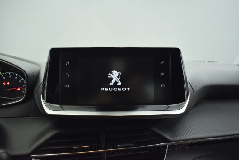 Peugeot 2008 - 1.5 BlueHDi 110hp Active Plus Camera