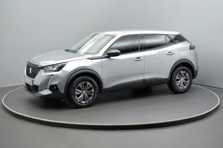 Peugeot 2008 - 1.5 BlueHDi 110hp Active Plus Camera