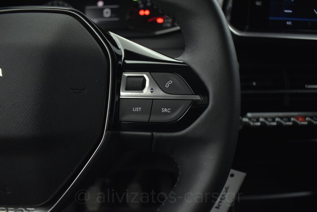 Peugeot 2008 - 1.5 BlueHDi 110hp Active Plus Camera