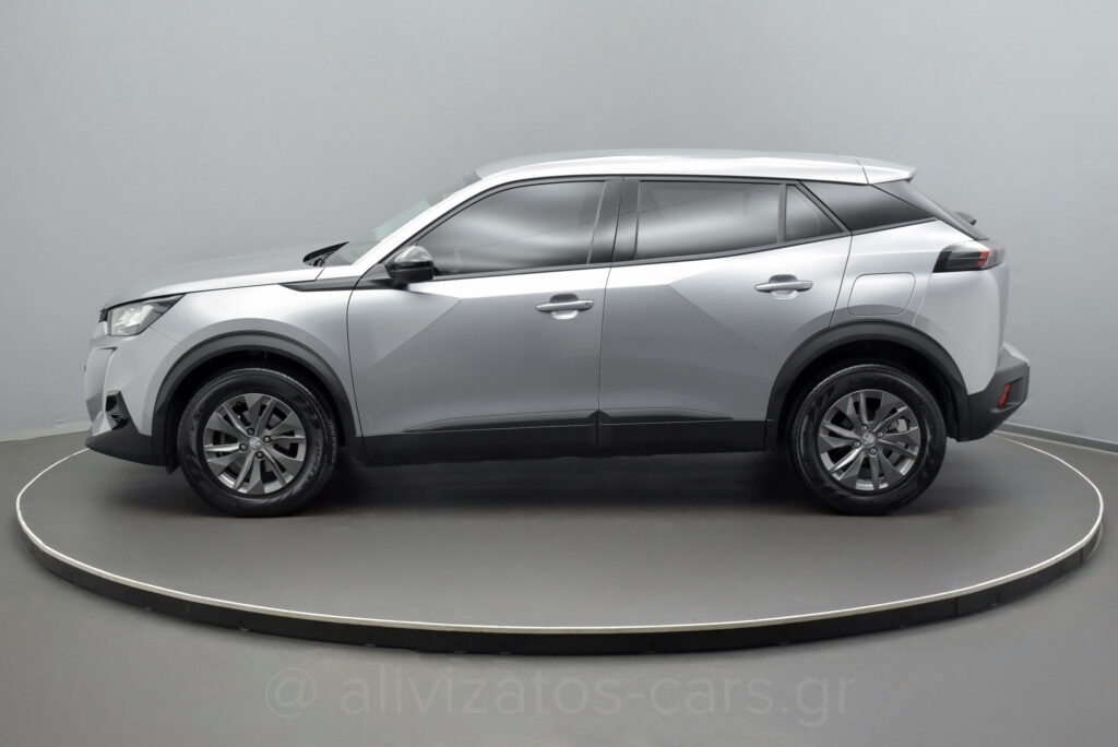 Peugeot 2008 - 1.5 BlueHDi 110hp Active Plus Camera