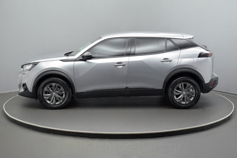 Peugeot 2008 - 1.5 BlueHDi 110hp Active Plus Camera