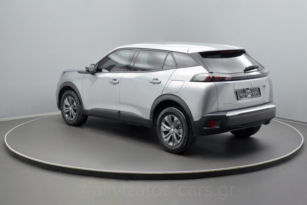 Peugeot 2008 - 1.5 BlueHDi 110hp Active Plus Camera