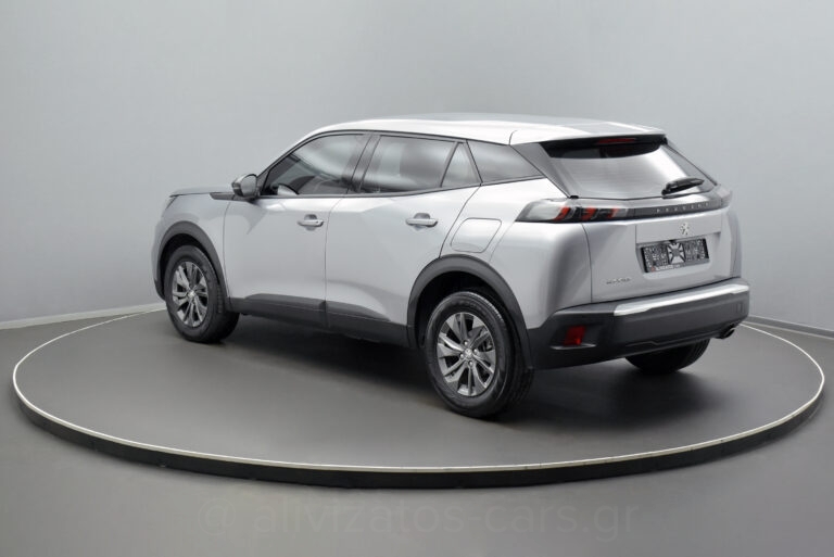 Peugeot 2008 - 1.5 BlueHDi 110hp Active Plus Camera