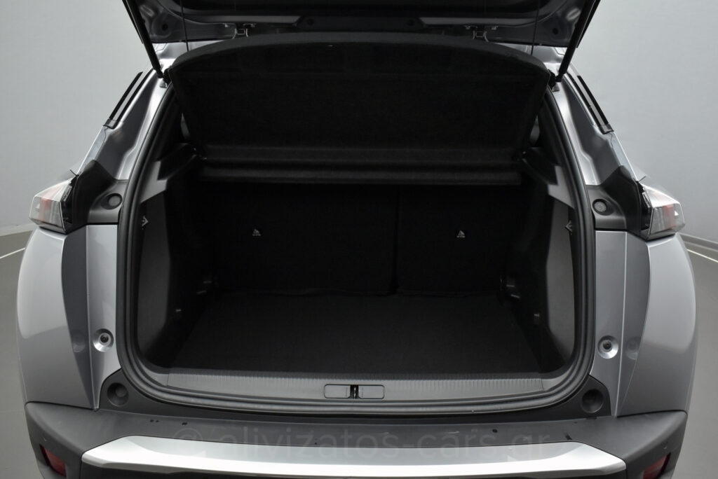 Peugeot 2008 - 1.5 BlueHDi 110hp Active Plus Camera