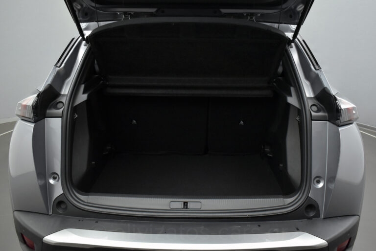 Peugeot 2008 - 1.5 BlueHDi 110hp Active Plus Camera