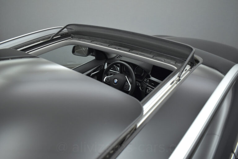 Bmw X1 - 1.5 Xdrive X Line 25e Steptronic Plug-in Panorama R19