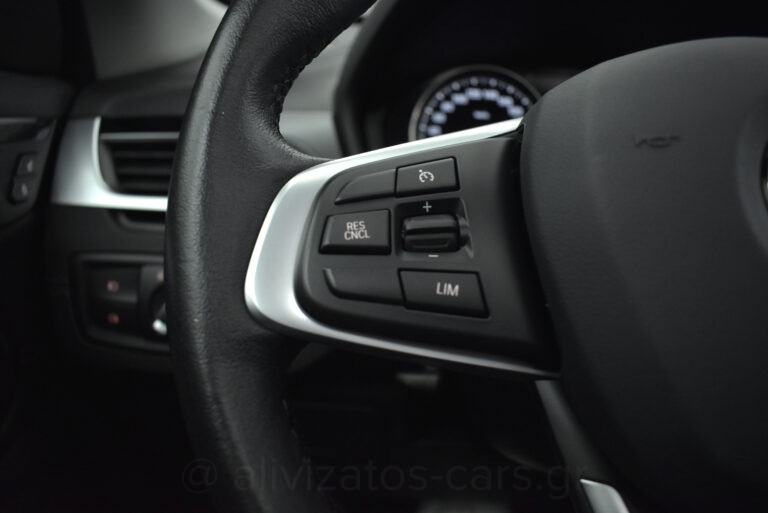 Bmw X1 - 1.5 Xdrive X Line 25e Steptronic Plug-in Panorama R19