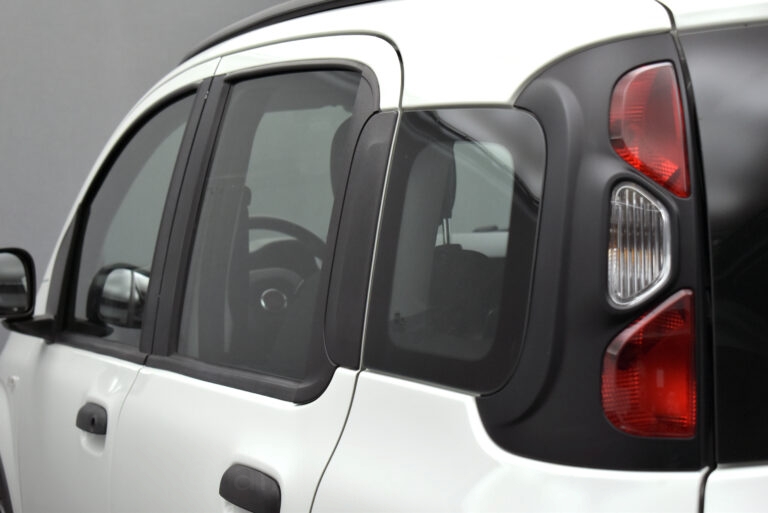Fiat Panda - CITY CROSS 1.0 S&S HYBRID