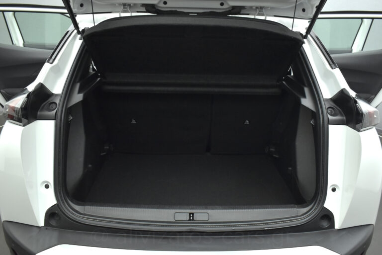 Peugeot 2008 - 1.5 BlueHDi Active Camera Full Led 100 hp