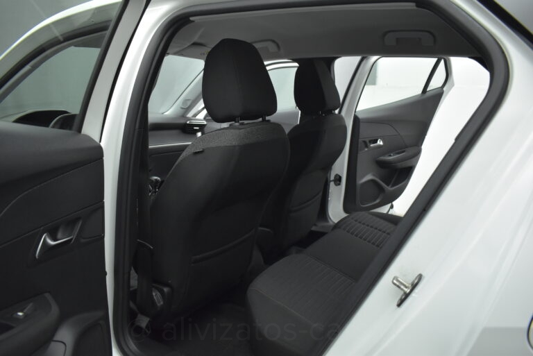 Peugeot 2008 - 1.5 BlueHDi Active Camera Full Led 100 hp