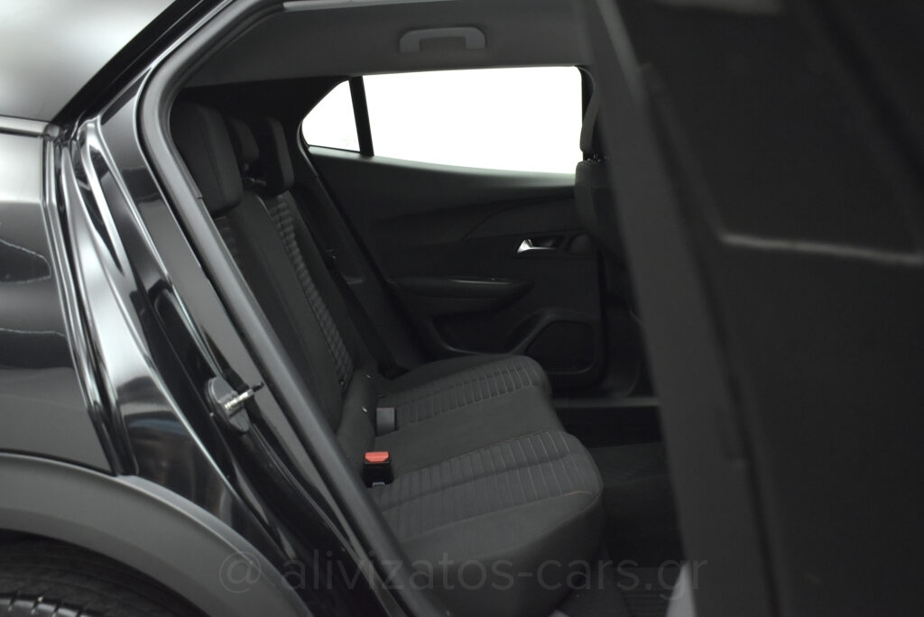 Peugeot 2008 - 1.5 BlueHDi 110hp Active Plus R17
